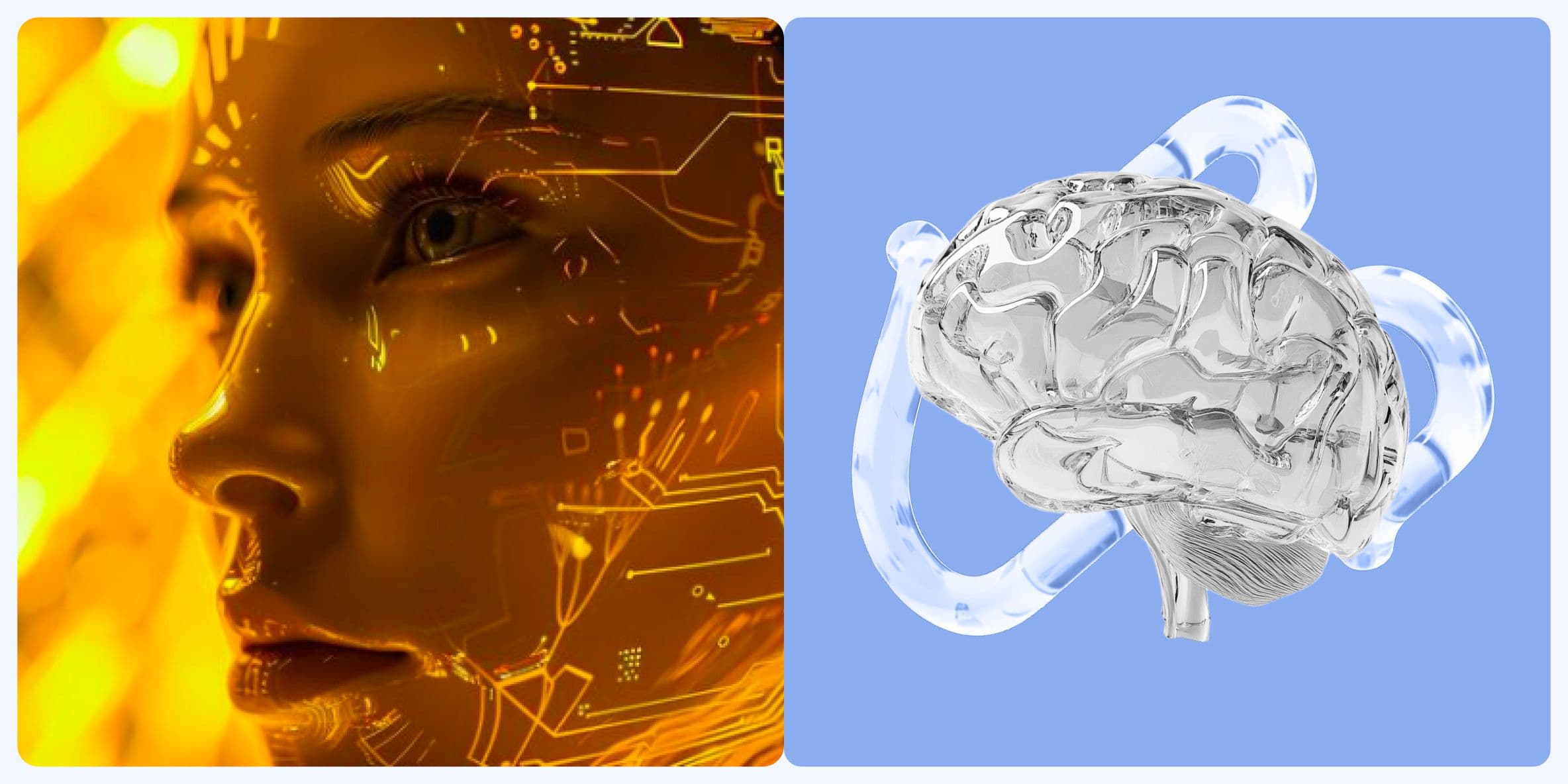 миту журнал